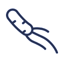 Helicobacter Pylori y Hemorroides